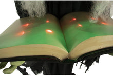 Load image into Gallery viewer, Haunted Hill Farm HHWITCH-9FLS Life-Size Animatronic Witch, Indoor/Outdoor Halloween Decoration, Multi