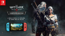 Load image into Gallery viewer, The Witcher 3: Wild Hunt - [Twister Parent]
