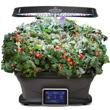 Load image into Gallery viewer, AeroGarden Red Heirloom Cherry Tomato Kit for Bounty Models