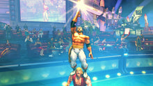 Load image into Gallery viewer, Street Fighter IV