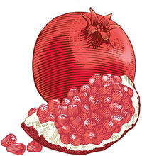 Load image into Gallery viewer, Burt&#39;s Bees 100% Natural Moisturizing Lip Balm, Pomegranate, 2 Tubes