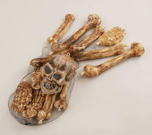 Load image into Gallery viewer, Bag of Skeleton Bones