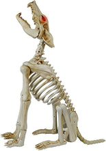 Load image into Gallery viewer, Spooky Hollow 31 Inch Life Size Animated Halloween Howling Wolf Crazy Bones with Sound - Eyes Light Up Red