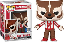 Load image into Gallery viewer, Bucky Badger [UW]: Funk o Pop! College Vinyl Figure Bundle with 1 Compatible &#39;ToysDiva&#39; Graphic Protector (009 - 44422 - B)