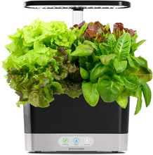 Load image into Gallery viewer, AeroGarden Harvest