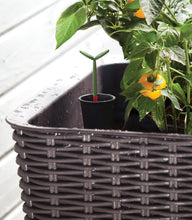 Load image into Gallery viewer, Keter Easy Grow 31.7 Gallon Raised Garden Bed with Self Watering Planter Box and Drainage Plug