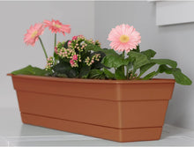 Load image into Gallery viewer, WINDOW BOX GRN 24"