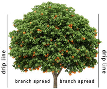 Load image into Gallery viewer, Jobe&#39;s 01000 1000 Tree Fertilizer Spikes 16-4-4, 5