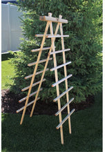 Load image into Gallery viewer, Gronomics LT 24-72 Ladder Trellis Kit, 24 by 72-Inch