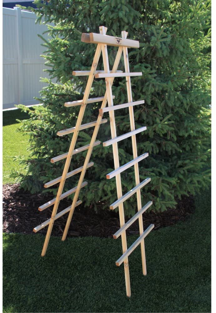 Gronomics LT 24-72 Ladder Trellis Kit, 24 by 72-Inch