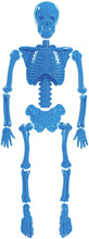 Load image into Gallery viewer, Toysmith Get Outside GO! Bag O' Beach Bones Playset Multi, 15 Inch