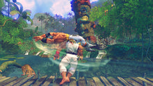 Load image into Gallery viewer, Street Fighter IV