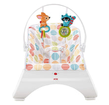 Load image into Gallery viewer, Fisher Price Comfort Curve Bouncer