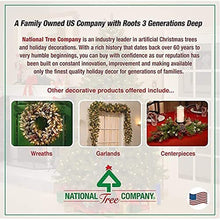 Load image into Gallery viewer, National Tree Company Tree