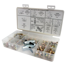 Load image into Gallery viewer, Lumax LX-4841 Gold/Silver (SAE) 1/4"-28 Taper and 1/8" P.T.F. 100 Piece Grease Fitting Assortment