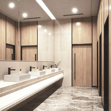 Load image into Gallery viewer, Vigo Bath Faucets and Accessories