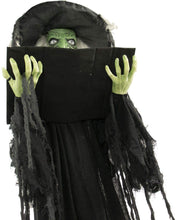 Load image into Gallery viewer, Haunted Hill Farm HHWITCH-9FLS Life-Size Animatronic Witch, Indoor/Outdoor Halloween Decoration, Multi