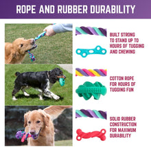 Load image into Gallery viewer, Play King Holiday Dog Squeaky Toy, Dog Toys, Play Toys