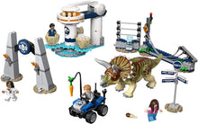 Load image into Gallery viewer, LEGO Jurassic World Triceratops Rampage 75937 (447 Pieces)