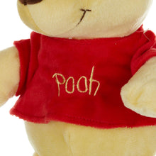 Load image into Gallery viewer, KIDS PREFERRED Disney Baby Winnie The Pooh Small Stuffed Animal, 14"
