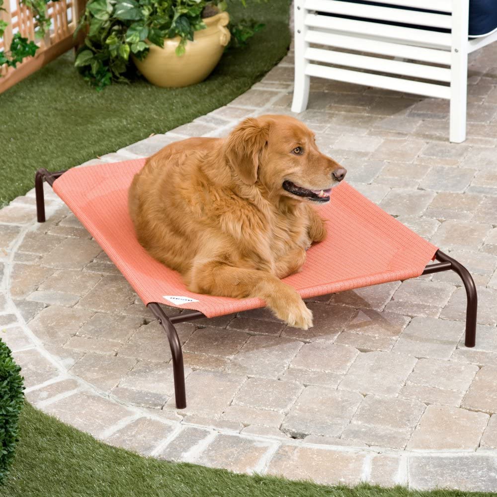 Coolaroo Elevated Pet Bed -