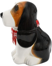 Load image into Gallery viewer, The Pioneer Woman"Henry" Earthenware 7.75 in Candy Jar