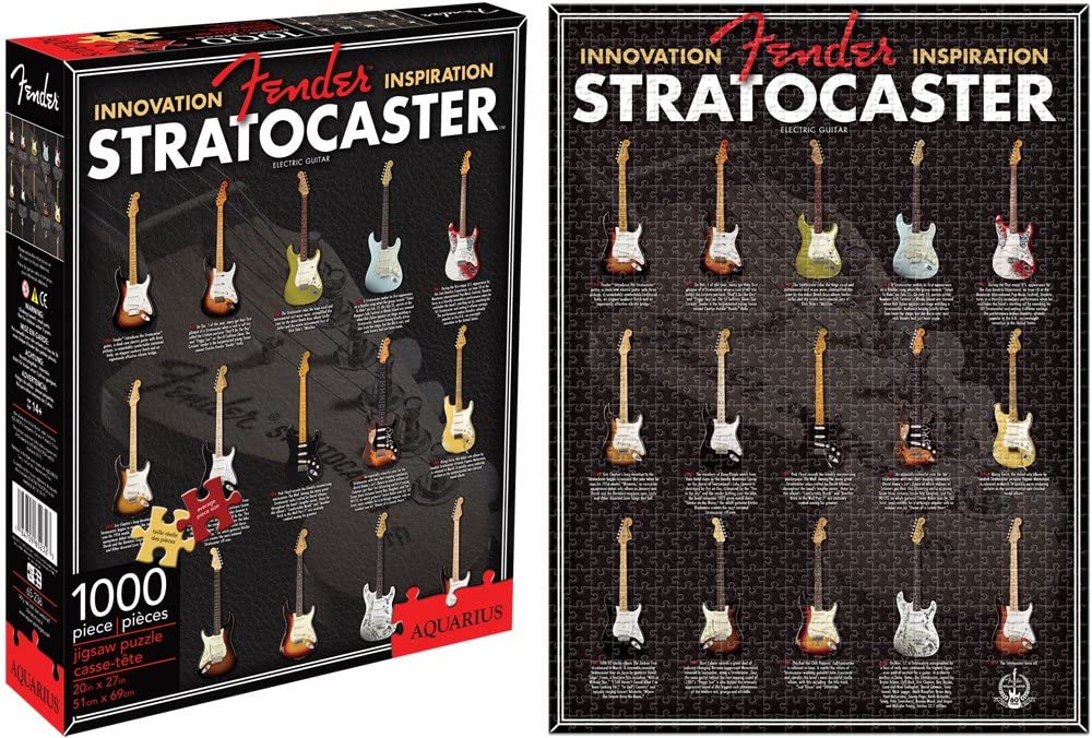 AQUARIUS Strat Evolution 1000 Piece Jigsaw Puzzle
