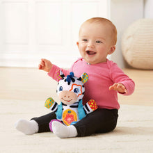 Load image into Gallery viewer, VTech Lights and Stripes Zebra