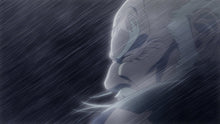 Load image into Gallery viewer, Street Fighter IV