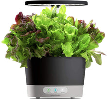Load image into Gallery viewer, AeroGarden Harvest 360