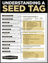Load image into Gallery viewer, Pennington Annual Ryegrass Retail Bag to Overseed Warm Season Grasses, 25 lb