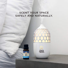 Load image into Gallery viewer, Guru Nanda (Set of 6) Therapeutic Grade Essential Oils - 100% Pure &amp; Natural Aromatherapy Single Notes for Oil Diffusers &amp; Topical Use - Lavender, Peppermint, Eucalyptus, Orange, Lemongrass, Cedarwood