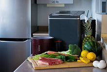 Load image into Gallery viewer, Food Cycler Platinum Indoor Food Recycler and Kitchen Compost Container