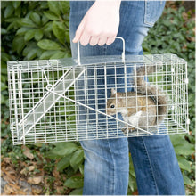 Load image into Gallery viewer, Havahart Small Professional Style One-Door Animal Trap for Squirrel, Rabbit, Skunk, and Mink  - 1077