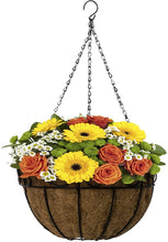 Load image into Gallery viewer, Sorbus 4 Pack Metal Hanging Planter Basket Huge 14 Inch Hanging Flower Pot Basket &amp; Coco Coir Liner for Indoor/Outdoor Garden Décor, Perfect for Home, Garden, Patio, Deck