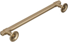 Load image into Gallery viewer, Amerock BP36621G10 Sea Grass 3-3/4