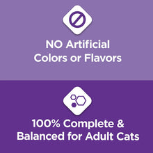 Load image into Gallery viewer, Purina Cat Chow Gentle Sensitive Stomach Adult Dry Cat Food