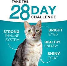 Load image into Gallery viewer, Purina ONE Sensitive Skin &amp; Stomach With Real Turkey, Natural Adult Dry Cat Food