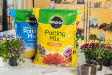 Load image into Gallery viewer, Miracle-Gro Potting Mix