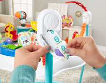 Load image into Gallery viewer, Fisher-Price Color Climbers Jumperoo