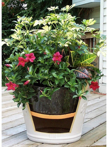 Bloem 'Ups-A-Daisy' Planter Insert 16