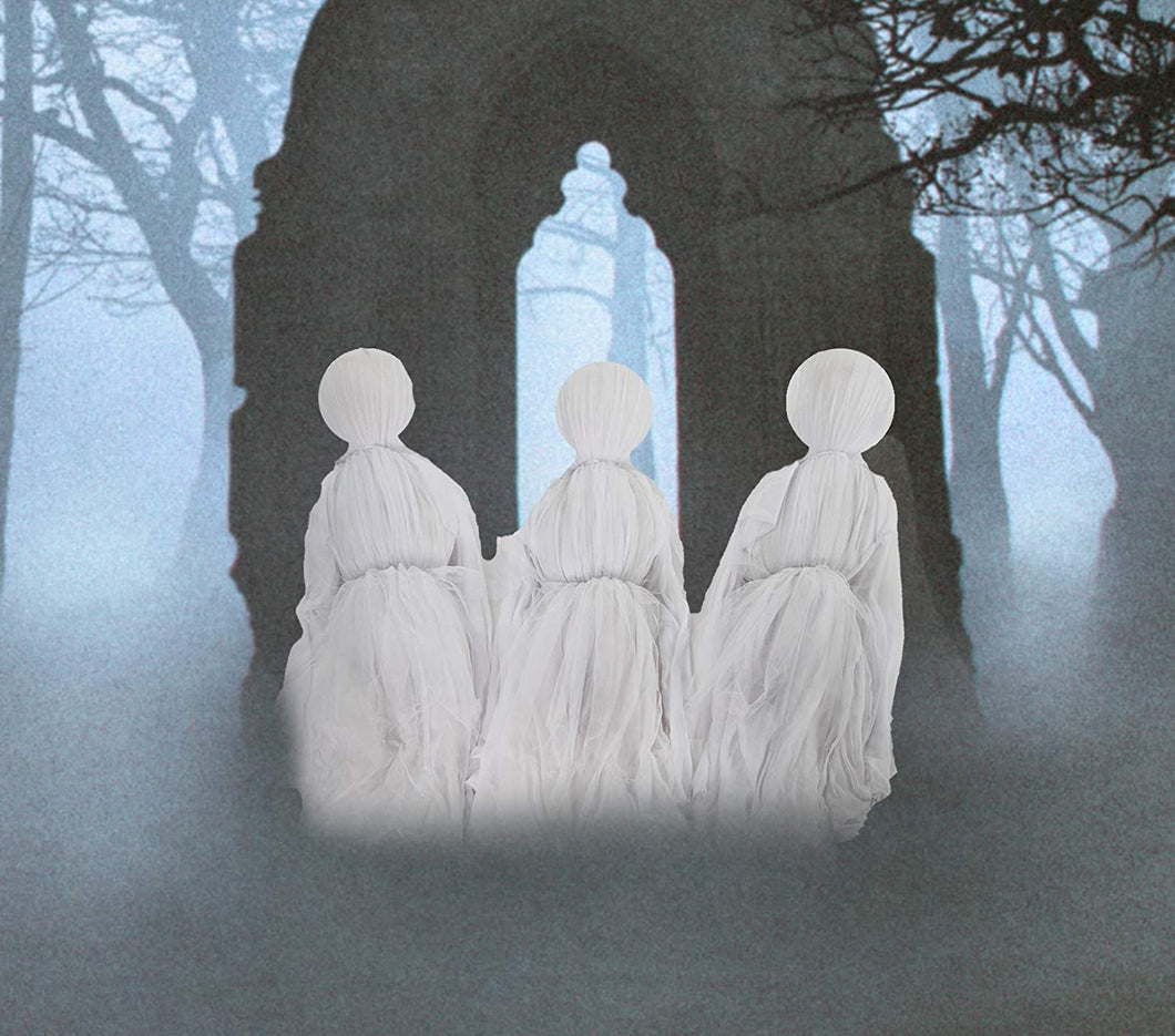 Haunted Hill Farm Lawn Ghosts, Outdoor, Light-Up White, Hanging Option, HHGHST-1STL Halloween Decoration, Multi