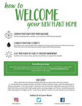 Load image into Gallery viewer, Bonnie Plants 5027 Cilantro Herb Plant