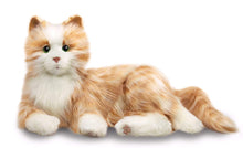 Load image into Gallery viewer, Ageless Innovation | Joy For All Companion Pets | Orange Tabby Cat | Lifelike &amp; Realistic