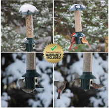 Load image into Gallery viewer, Roamwild PestOff Squirrel Proof Bird Feeder Mixed Seed Sunflower Heart Version