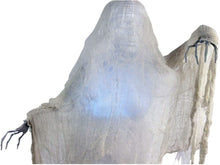 Load image into Gallery viewer, Haunted Hill Farm HHCAGE-1H Life-Size Cage, Color 1