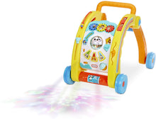 Load image into Gallery viewer, Little Tikes Little Baby Bum Twinkle's Musical Walker Multicolor, 17.20 L x 21.20 W x 16.70 H Inches