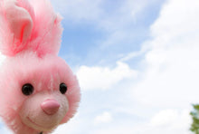 Load image into Gallery viewer, ReTrak Retractable Animalz Tangle-Free, Volume Limiting (85 dB) Over Ear Headphones for Kids, Pink Bunny (ETAUDFBNY)