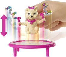 Load image into Gallery viewer, Barbie Dreamhouse Adventures Teresa Spin ‘n Twirl Gymnast Doll, 11.5-inch Brunette, in Leotard, with Accessories