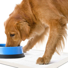 Load image into Gallery viewer, OUT! Ultimate Pro-Grip XL Dog Pads, 21 x 30, 30 pads